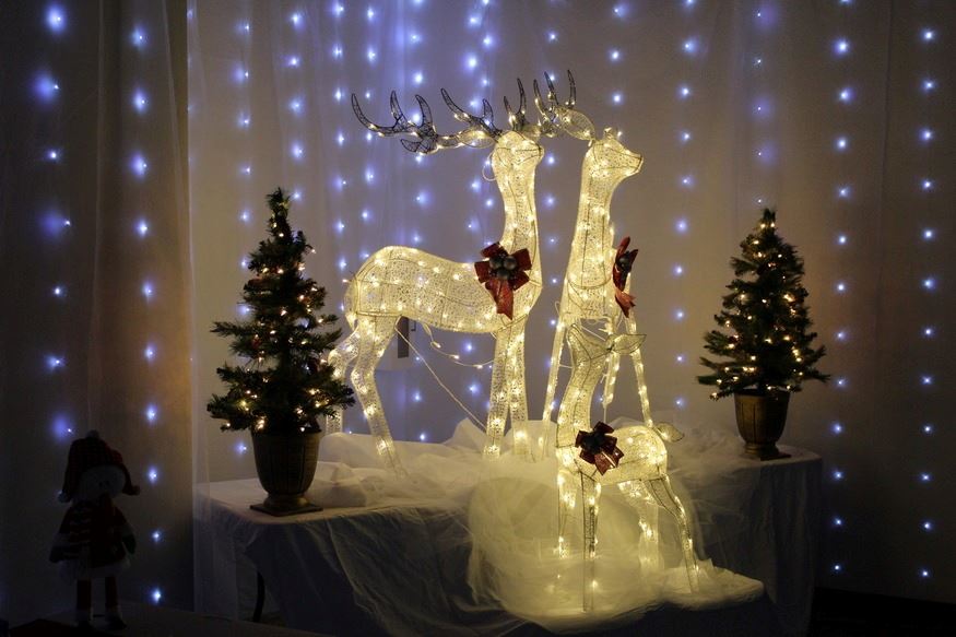 Community Center Deer Decor (JPEG)